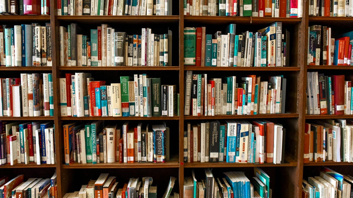 Bookshelves filled with fiction, representing the literary tradition AI models are trained on