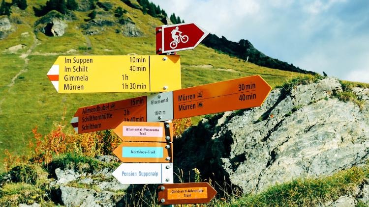 How to Choose the Right LLM in 2026: A Practical Guide