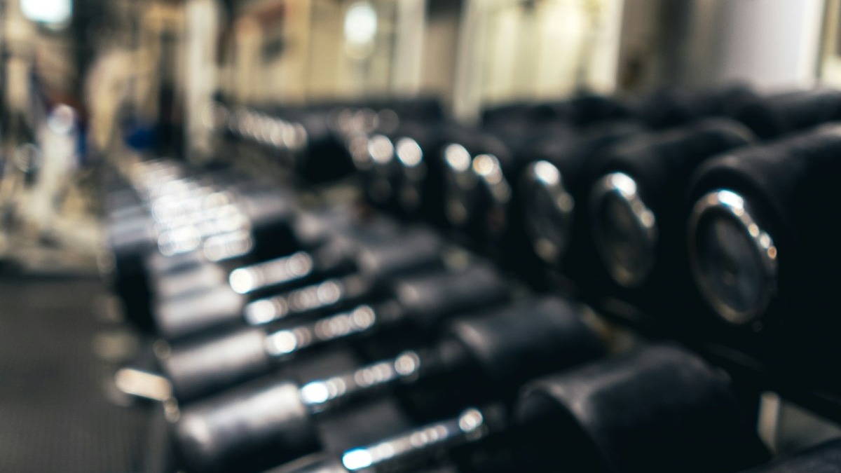 Rows of dumbbells on a rack in a gym