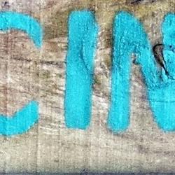 How to Use AI to Learn a New Language - A Beginner's Guide