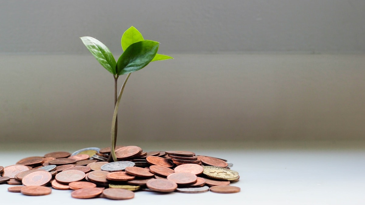 A small plant growing out of a pile of coins, symbolizing savings growth