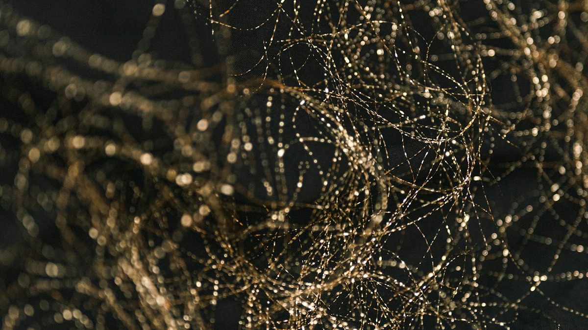 A visualization of neural network connections, representing the billions of parameters inside an LLM