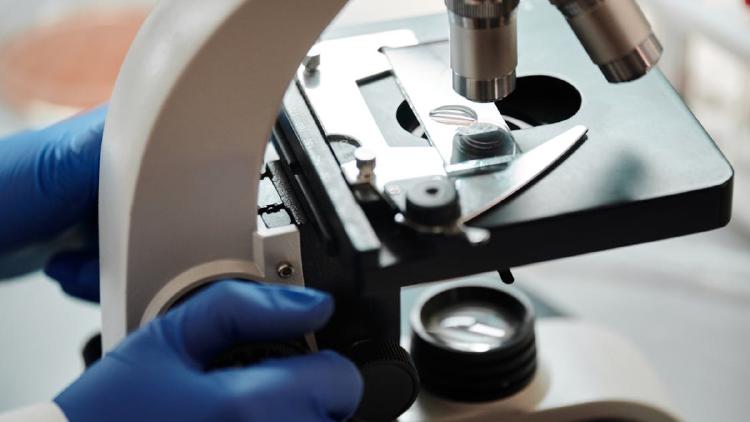 Vision-Language Benchmarks: Image Reasoning Ranked