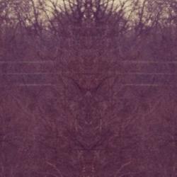 GPT-4 to Self-Hosted Llama 4 Migration Guide