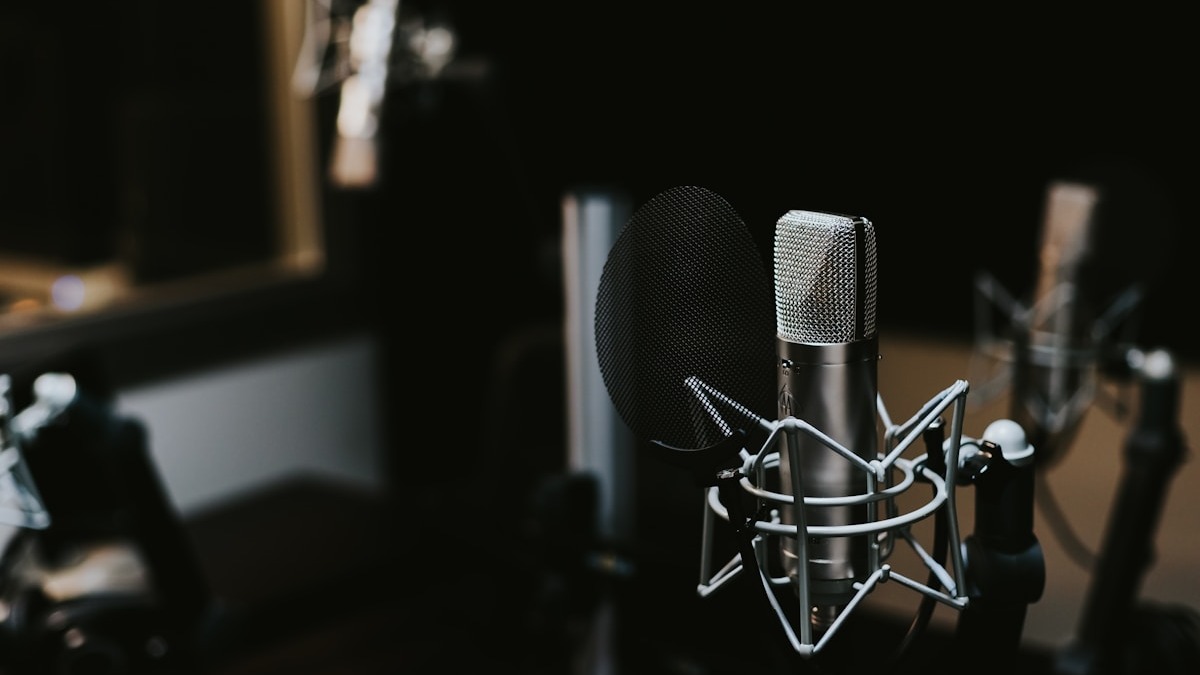 A professional studio condenser microphone in a recording booth