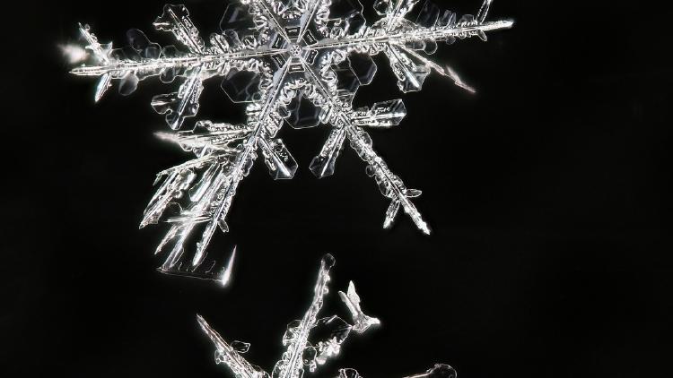 Snowflake Arctic-Text2SQL-R1-32B