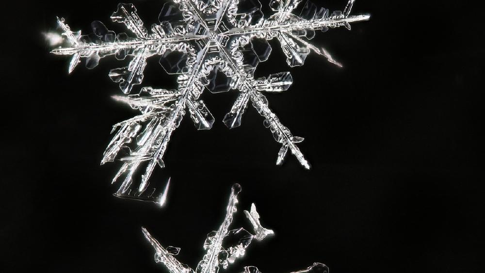 Snowflake Arctic-Text2SQL-R1-32B