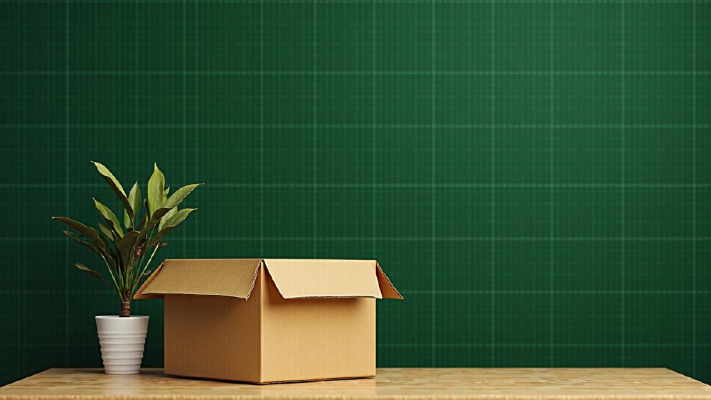 55,000 Workers Were Told AI Took Their Jobs - The Real Story Is More Complicated