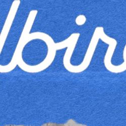 A Shoe Company Ditched Shoes for GPUs and Surged 373%