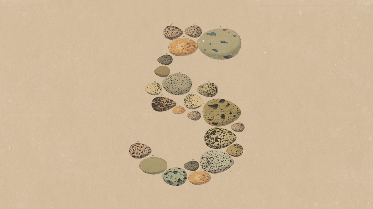 Anthropic's stylized illustration marking the number five, made from a spiral arrangement of speckled bird-egg shapes