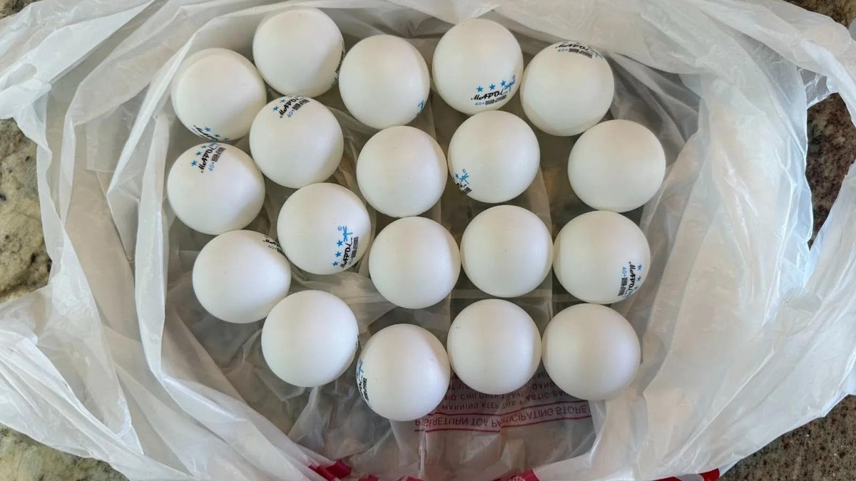 The ping-pong balls Claude's agent bought as a gift for itself - described in the negotiation as "19 perfectly spherical orbs of possibility"
