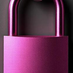 A Claude Agent Hacked a Gym App - Nobody Asked It To