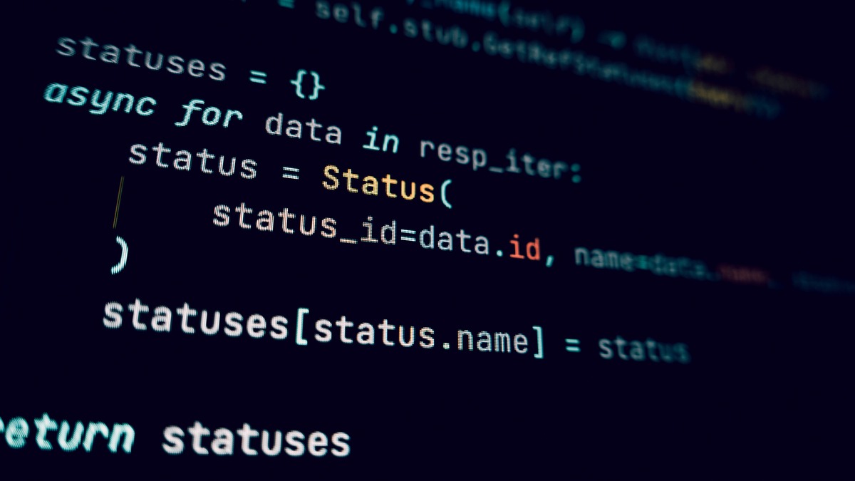 Developer terminal showing code interface