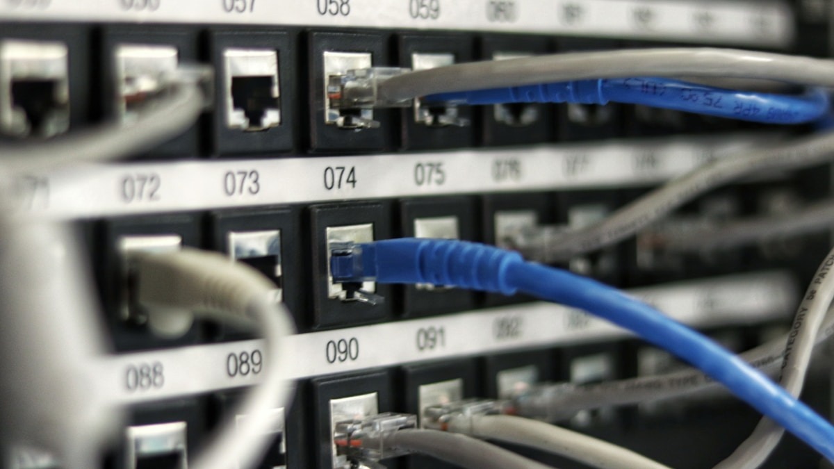 Network cables connected to servers - redundancy and backup infrastructure that can prevent catastrophic data loss