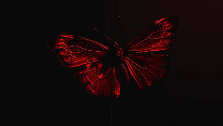 Claude Mythos Preview Finds Thousands of Zero-Days