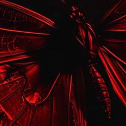 Claude Mythos Preview Finds Thousands of Zero-Days