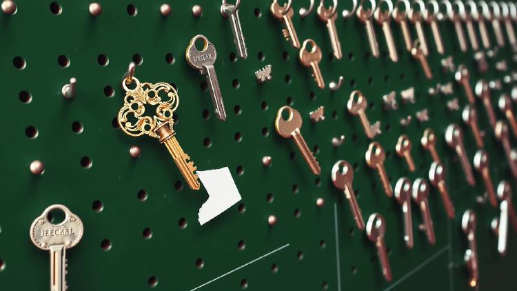 Cyera Buys Oasis Security for $1B to Guard AI Agents