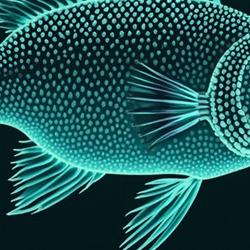 DeepSeek V4 Lite Leaks Under NDA - 1M Context, Natively Multimodal, Codenamed Sealion-Lite