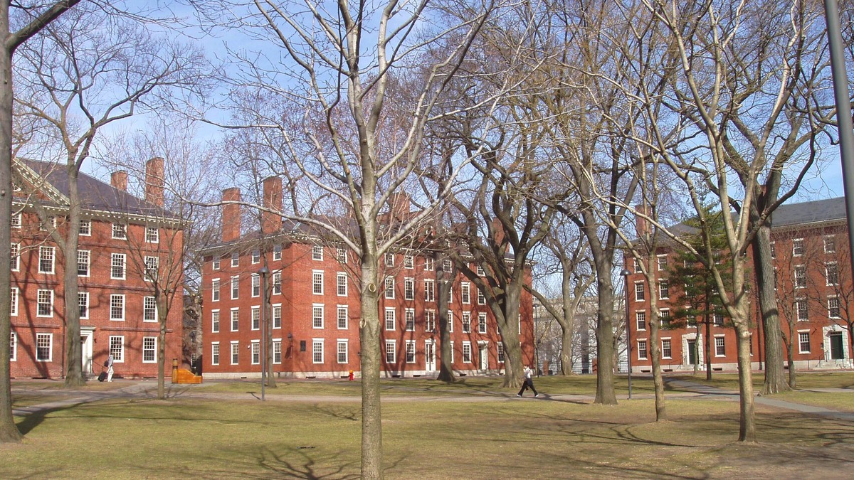 Harvard Yard with red-brick dormitory buildings visible through bare trees