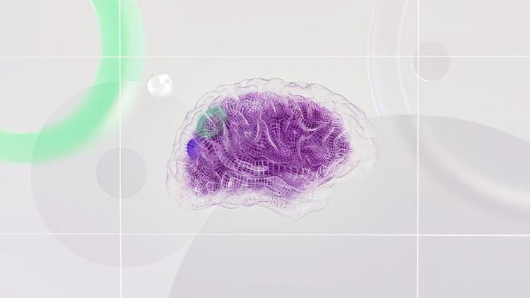 Bezos Backs Flourish's $500M Bet on Brain-Inspired AI