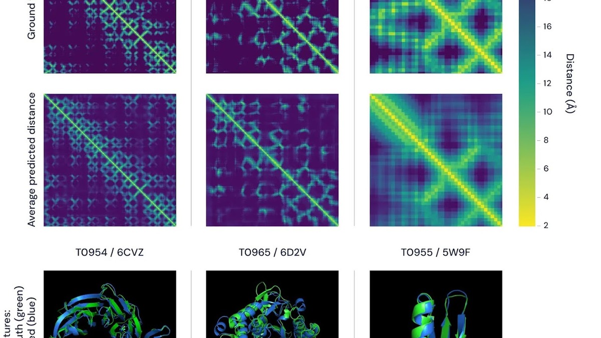 AlphaFold protein structure prediction visualization