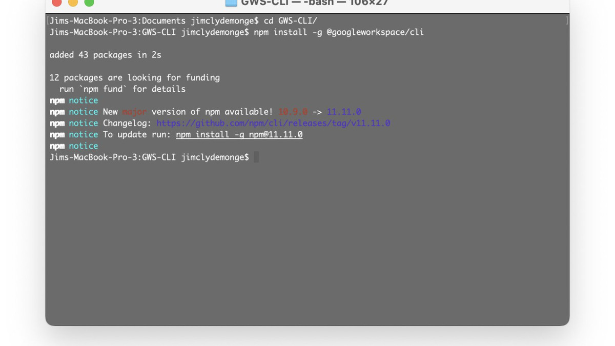 gws CLI installation steps screenshot