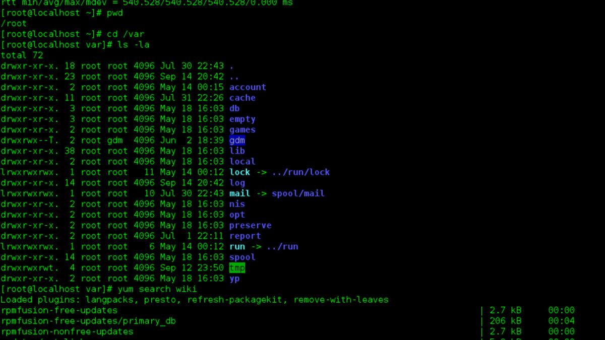 Terminal showing code output