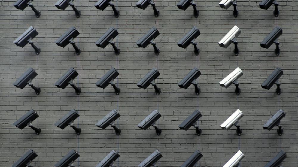 Grandmother Jailed 6 Months After AI Misidentified Her