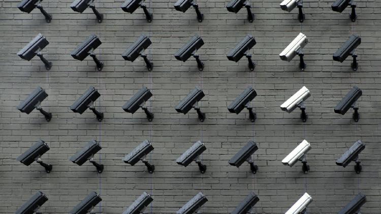 Grandmother Jailed 6 Months After AI Misidentified Her