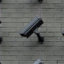 Grandmother Jailed 6 Months After AI Misidentified Her