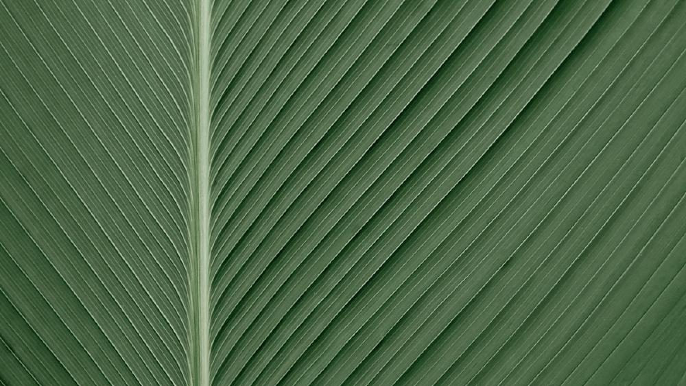 xAI Teases Grok 4.20 With Improved Multimodal and Reduced Hallucinations