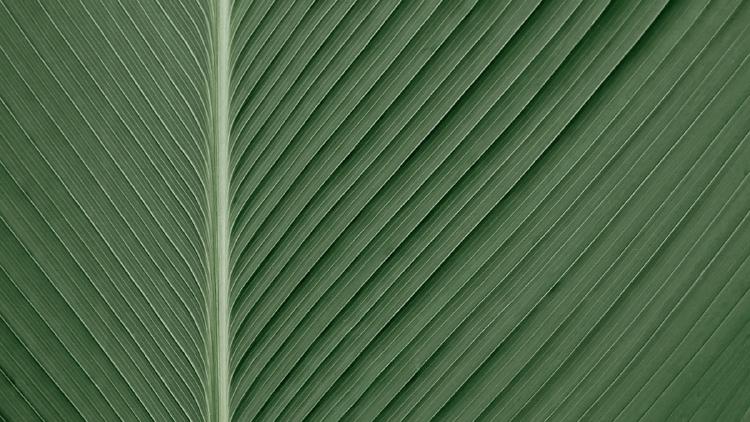 xAI Teases Grok 4.20 With Improved Multimodal and Reduced Hallucinations