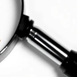 Grok 4.5 Enters Beta with Unverified Opus Claims
