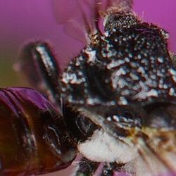 Kimi K2.6 - Open Weights, 300 Agents, Top Coding Score