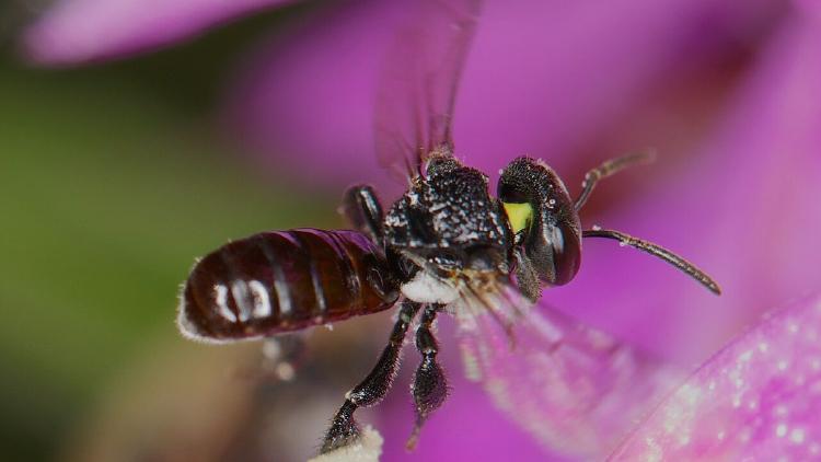 Kimi K2.6 - Open Weights, 300 Agents, Top Coding Score