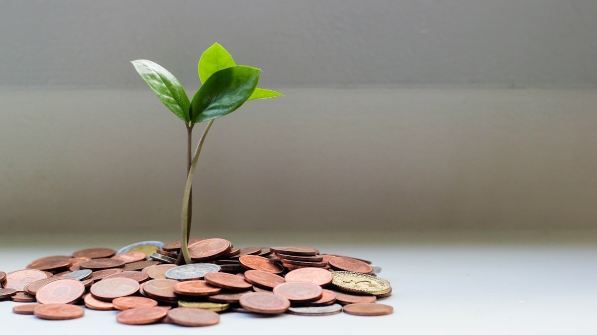 Green plant growing from a pile of coins - representing investment growth