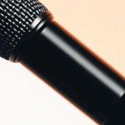 llama.cpp Lands Three Audio Models in 48 Hours