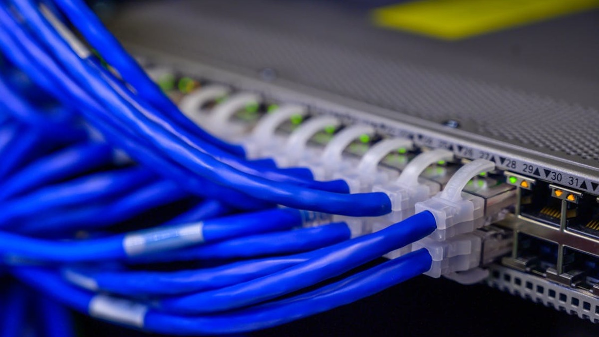Blue ethernet cables plugged into a server rack patch panel