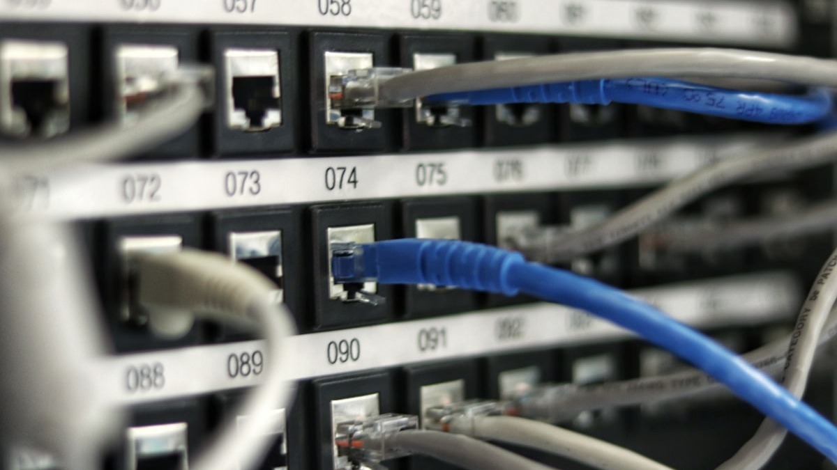 Dense bundle of ethernet cables entering a network switch in a data center