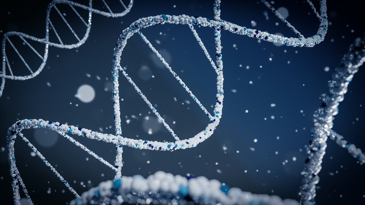 Abstract rendering of a DNA double helix, evoking the "breeding" metaphor VIDRAFT uses for its merging technique