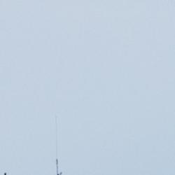 Scout AI's Fury Turns ChatGPT-Style Agents Into Battlefield Weapons