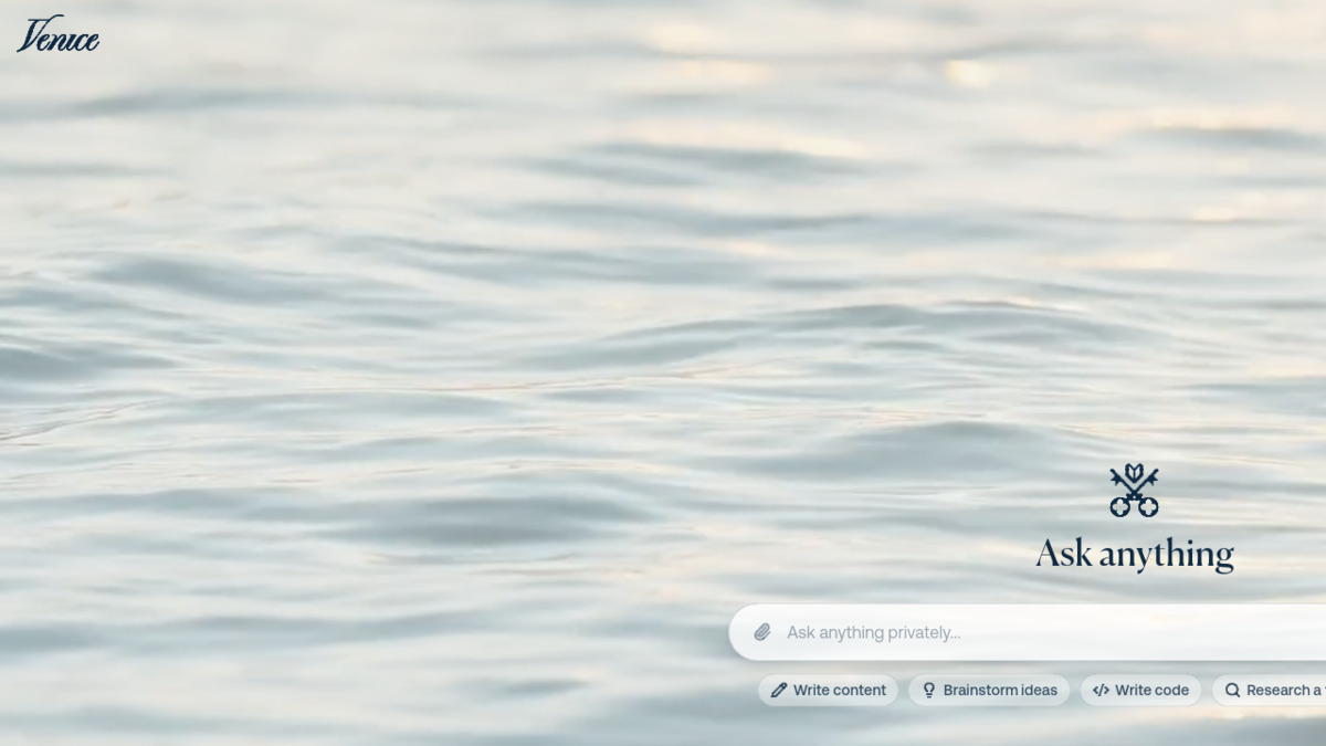 Venice AI's privacy-first interface showing the chat application
