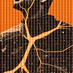 Vercel Finds 7 Security Vulnerabilities in Cloudflare's AI-Built Next.js Clone