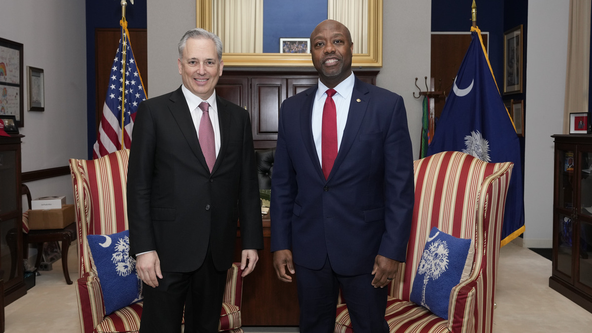 David Sacks, White House AI and Crypto Czar, speaking at a policy event