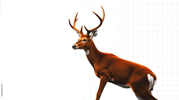 DeerFlow 2.0 Review: ByteDance's Open SuperAgent