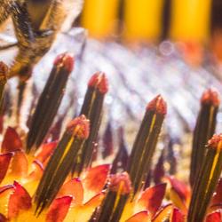 Kimi K2.5 Review: Open Weights, Agent Swarms, Caveats