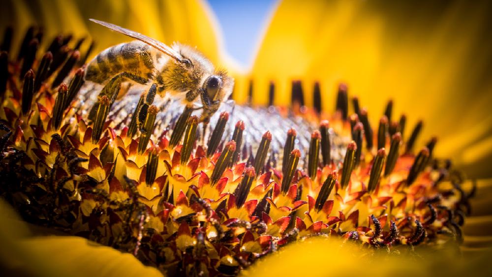 Kimi K2.5 Review: Open Weights, Agent Swarms, Caveats