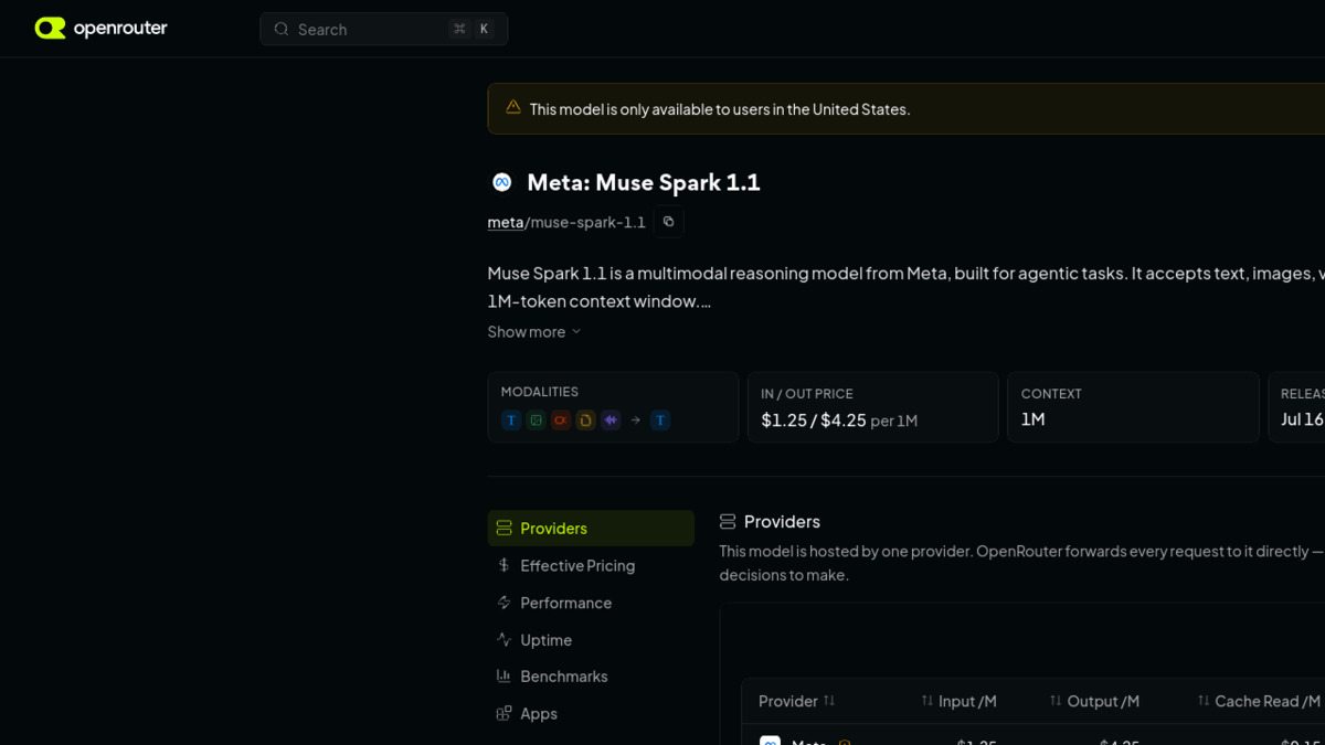 OpenRouter's model page for Muse Spark 1.1 showing the US-only access warning and per-token pricing