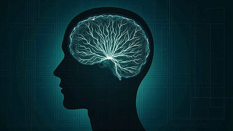 AI Research Roundup: Agent Behavioral Contracts, Autonomous Memory, and Certified Circuits