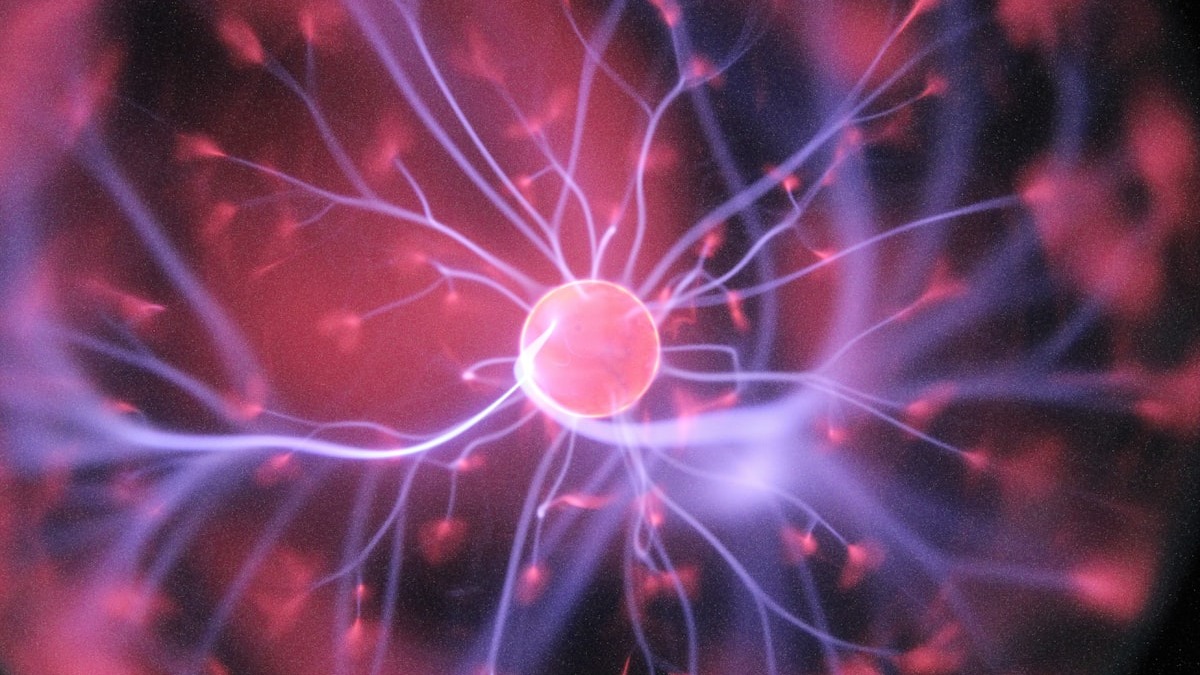 A plasma ball with glowing filaments, evoking the distributed structure of neural memory